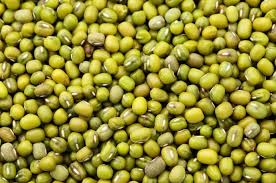 Mung Bean (Moong)